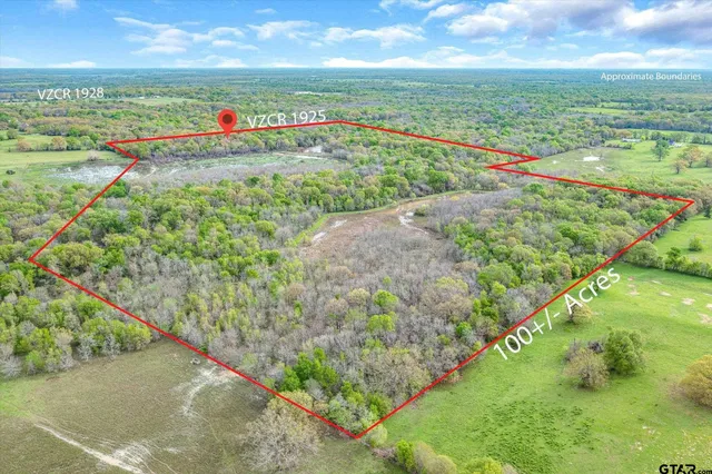 a view of a garden with an outdoor space