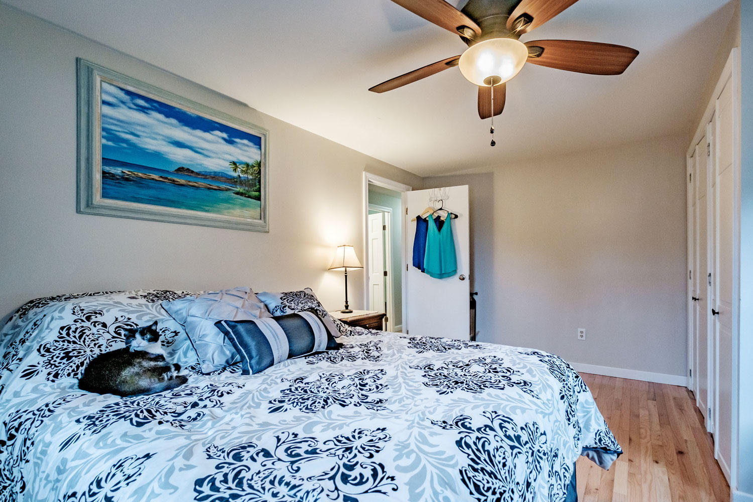 16 Plains Road Hollis Center, ME 04042 - Photo 43 of 72 20190503gp-60042