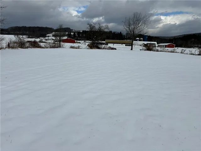 $149,000 | 19 Royal Street, Candor, NY 13743