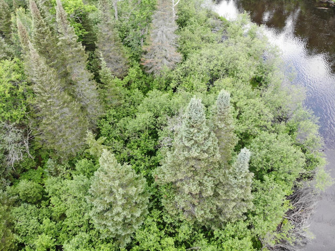 Lot 4 River Road Eagle River, WI 54521 - Photo 6 of 7 Gallery Image 6