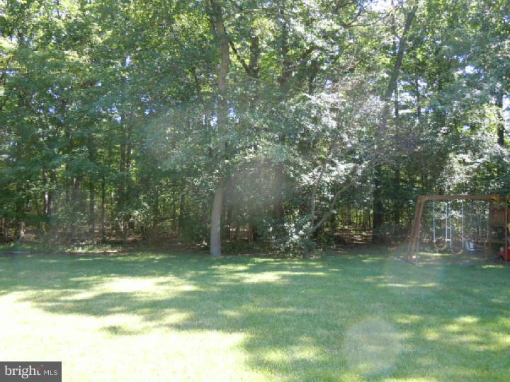 2850 Jackson Road Williamstown, NJ 08094 - Photo 16 of 22