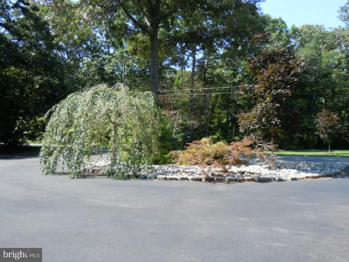 2850 Jackson Road Williamstown, NJ 08094 - Photo 3 of 22 View in Back