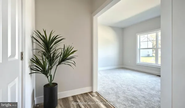 a view of a potted plant with a window