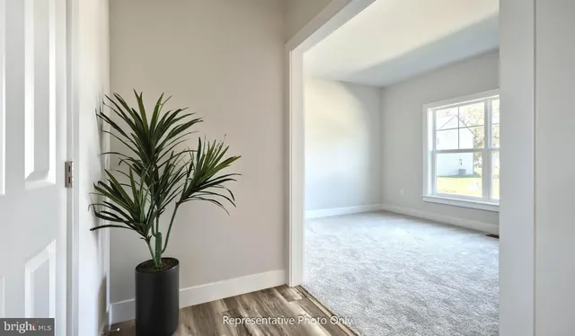 a view of a potted plant with a window