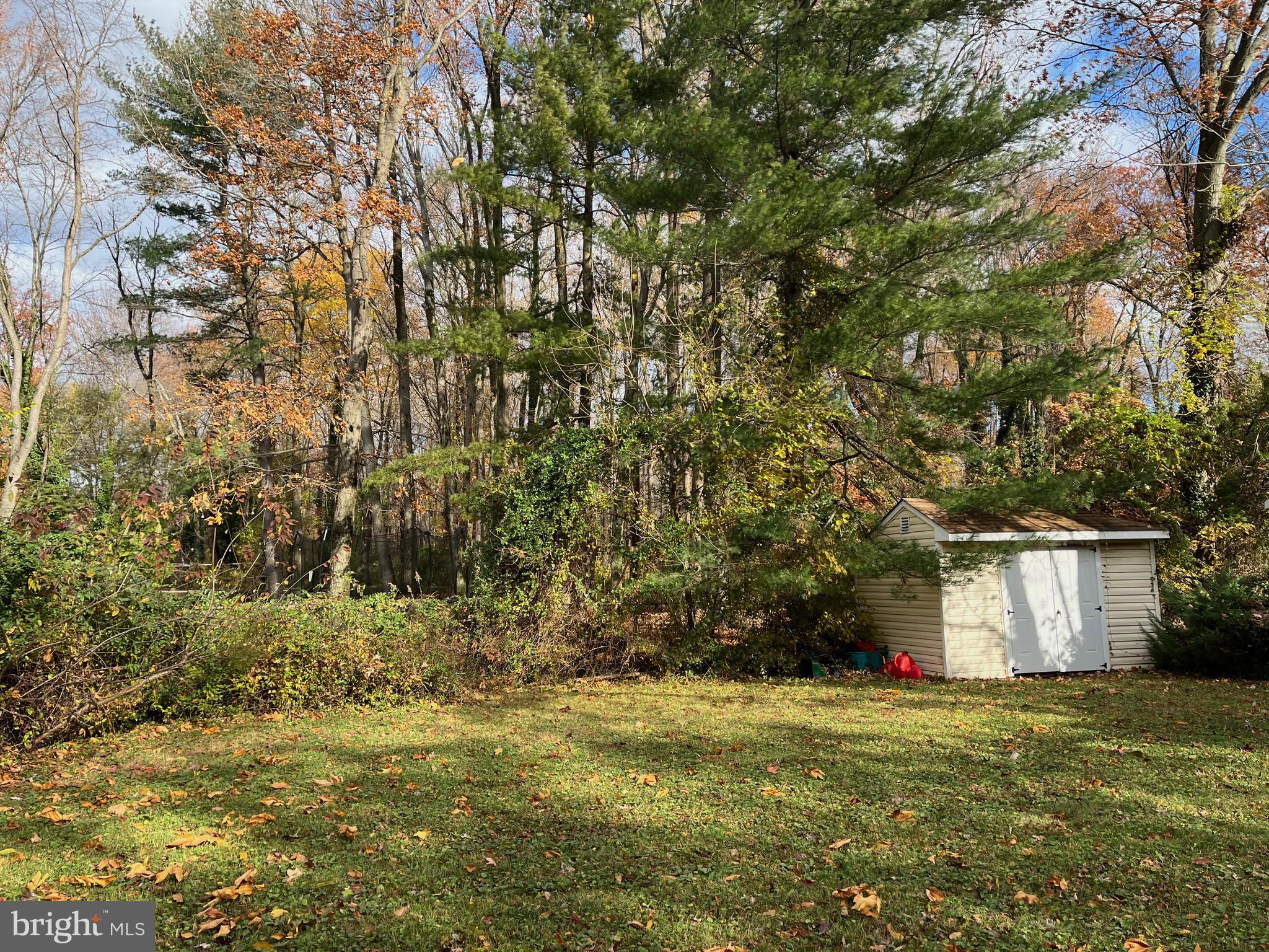 428 King George Road Cherry Hill, NJ 08034 - Photo 12 of 12 Back yard