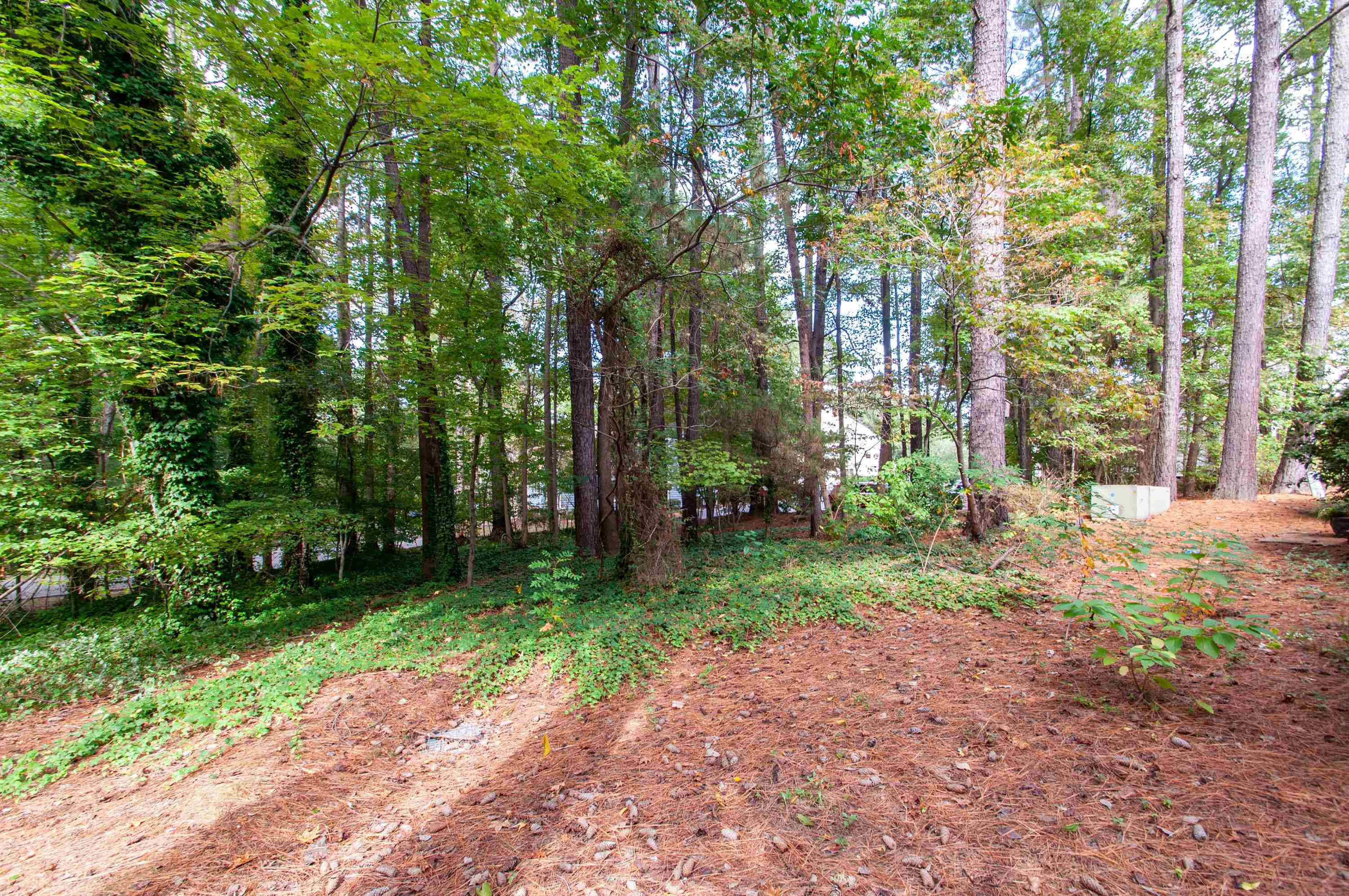 720 Benchmark Drive Raleigh, NC 27615 - Photo 19 of 30 Backyard