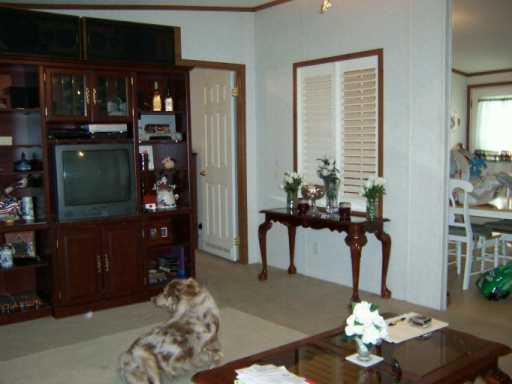 20280 Sister's Road Ponchatoula, LA 70454 - Photo 2 of 8 Gallery Image 2
