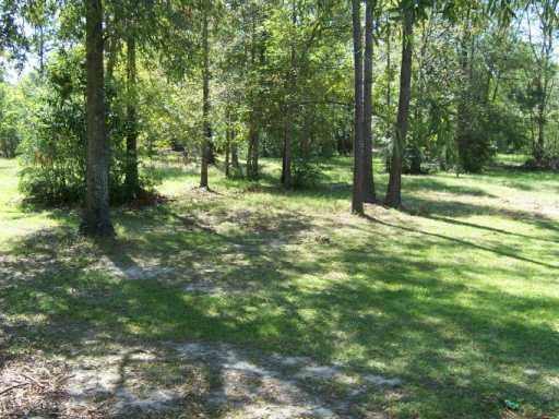 20280 Sister's Road Ponchatoula, LA 70454 - Photo 8 of 8 Gallery Image 8