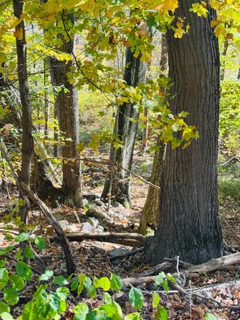 $149,000 | Lot 11 Shamrock Drive, Putnam Valley, NY 10579