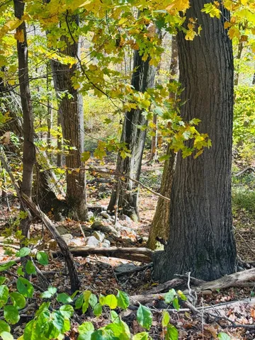 $149,000 | Lot 11 Shamrock Drive, Putnam Valley, NY 10579