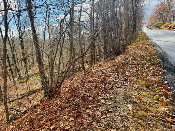 $149,000 | Lot 11 Shamrock Drive, Putnam Valley, NY 10579