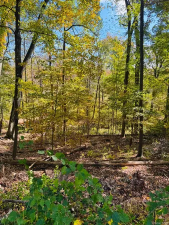 $149,000 | Lot 11 Shamrock Drive, Putnam Valley, NY 10579