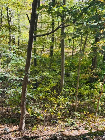 $149,000 | Lot 11 Shamrock Drive, Putnam Valley, NY 10579