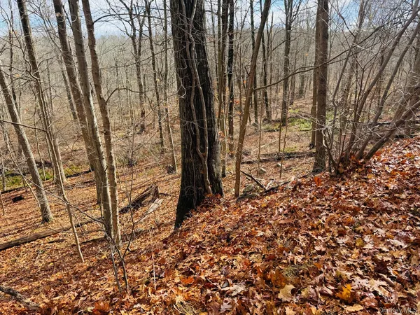 $149,000 | Lot 11 Shamrock Drive, Putnam Valley, NY 10579
