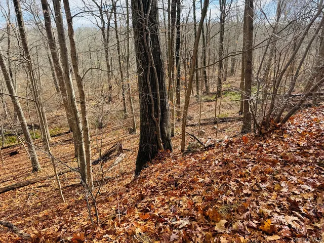 $149,000 | Lot 11 Shamrock Drive, Putnam Valley, NY 10579