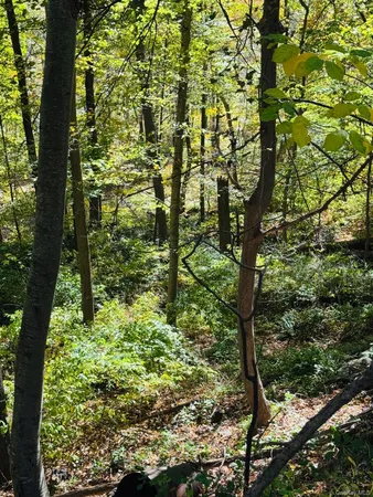 $149,000 | Lot 11 Shamrock Drive, Putnam Valley, NY 10579