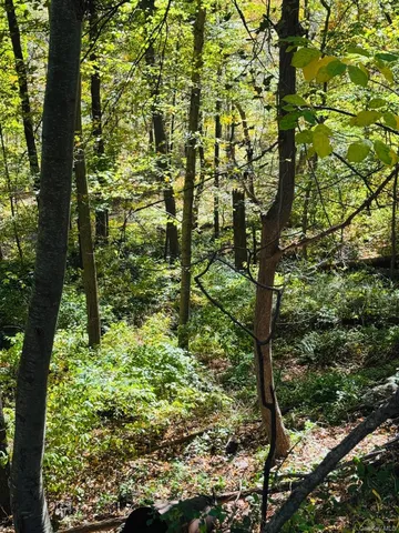 $149,000 | Lot 11 Shamrock Drive, Putnam Valley, NY 10579