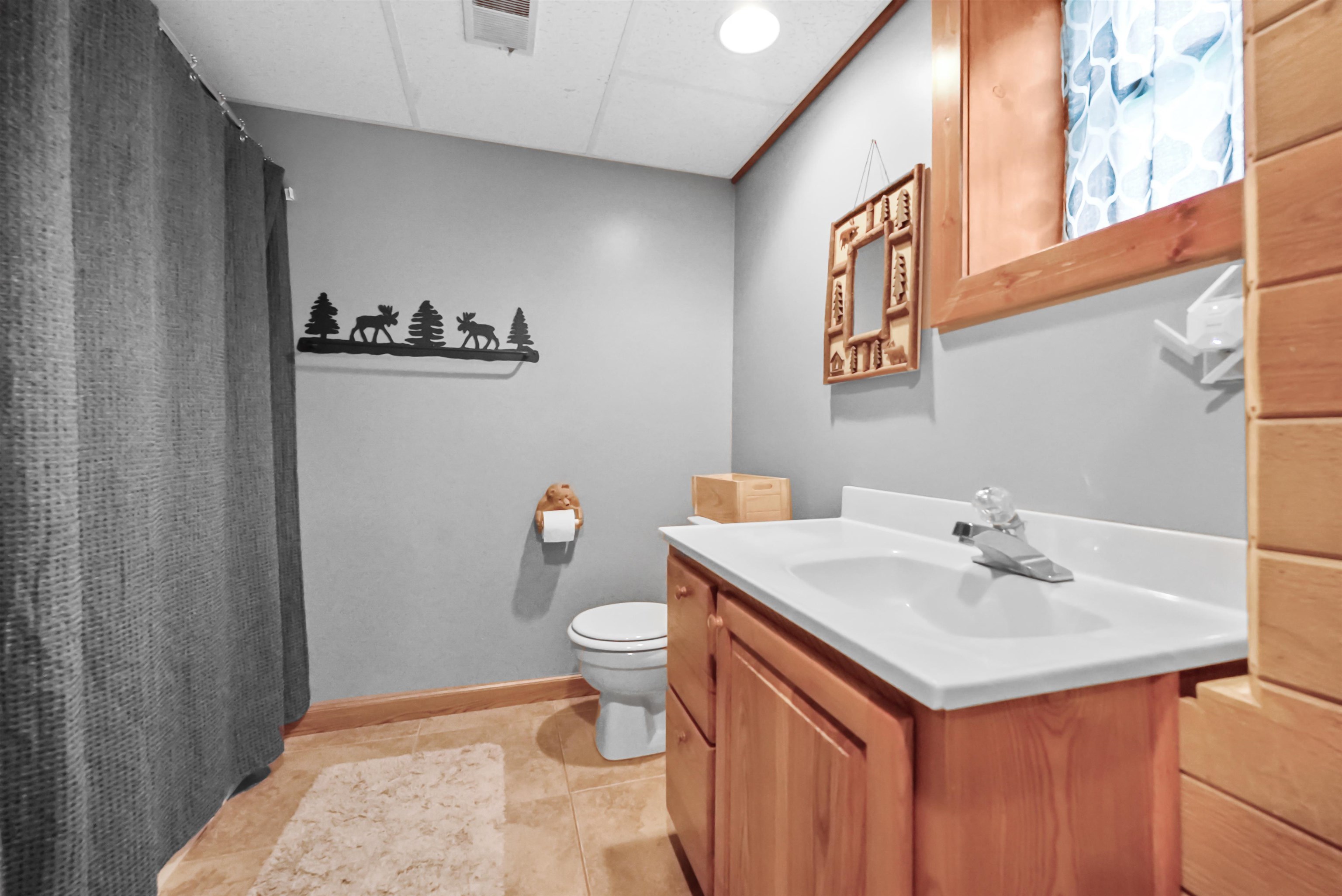 10600 West Rhoby Road Manton, MI 49663 - Photo 27 of 44
