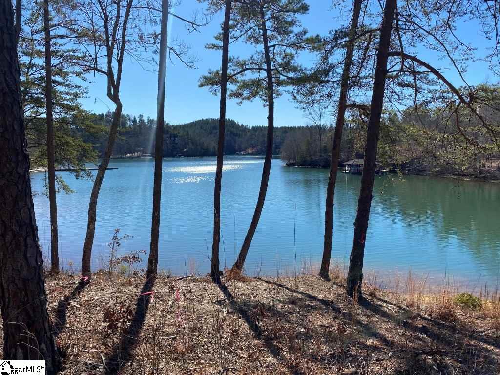 174 Ellenburg Creek Road, Unit LOT E 317 Sunset, SC 29685 - Photo 1 of 14 Gallery Image 1