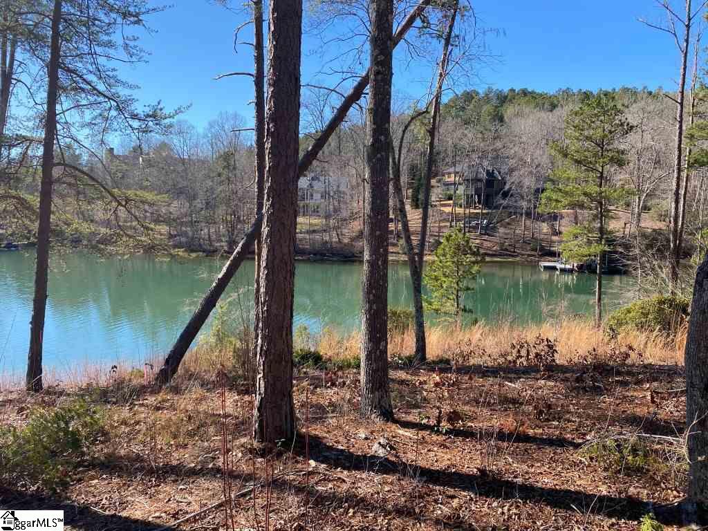 174 Ellenburg Creek Road, Unit LOT E 317 Sunset, SC 29685 - Photo 2 of 14 Gallery Image 2