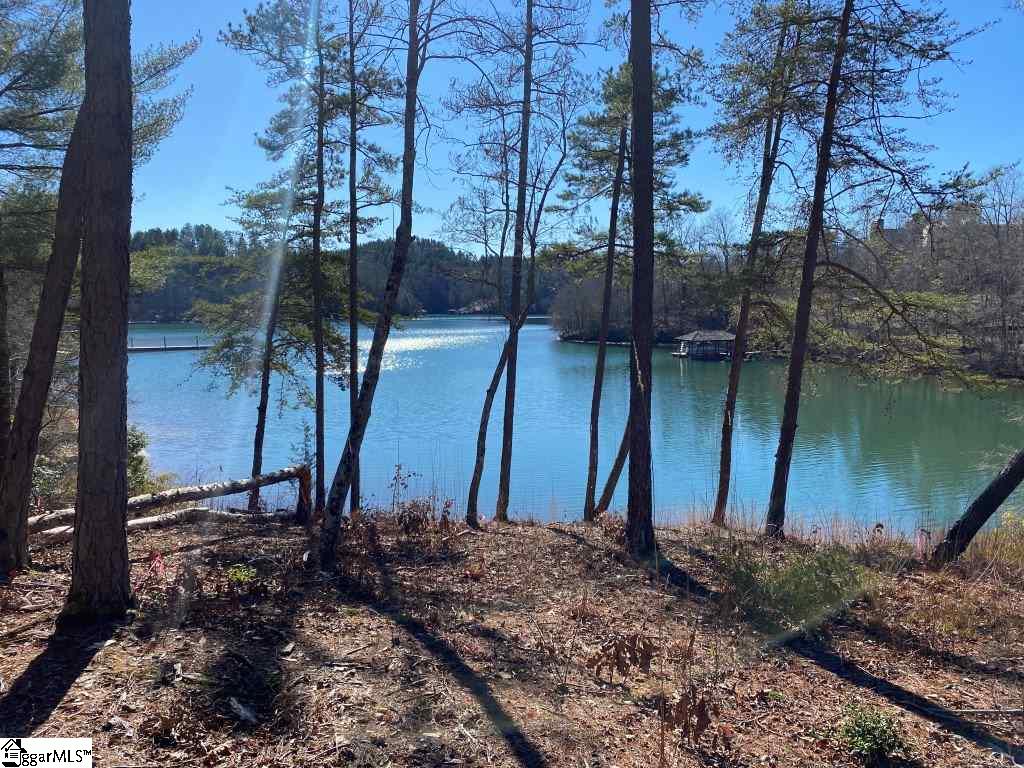 174 Ellenburg Creek Road, Unit LOT E 317 Sunset, SC 29685 - Photo 4 of 14 Gallery Image 4