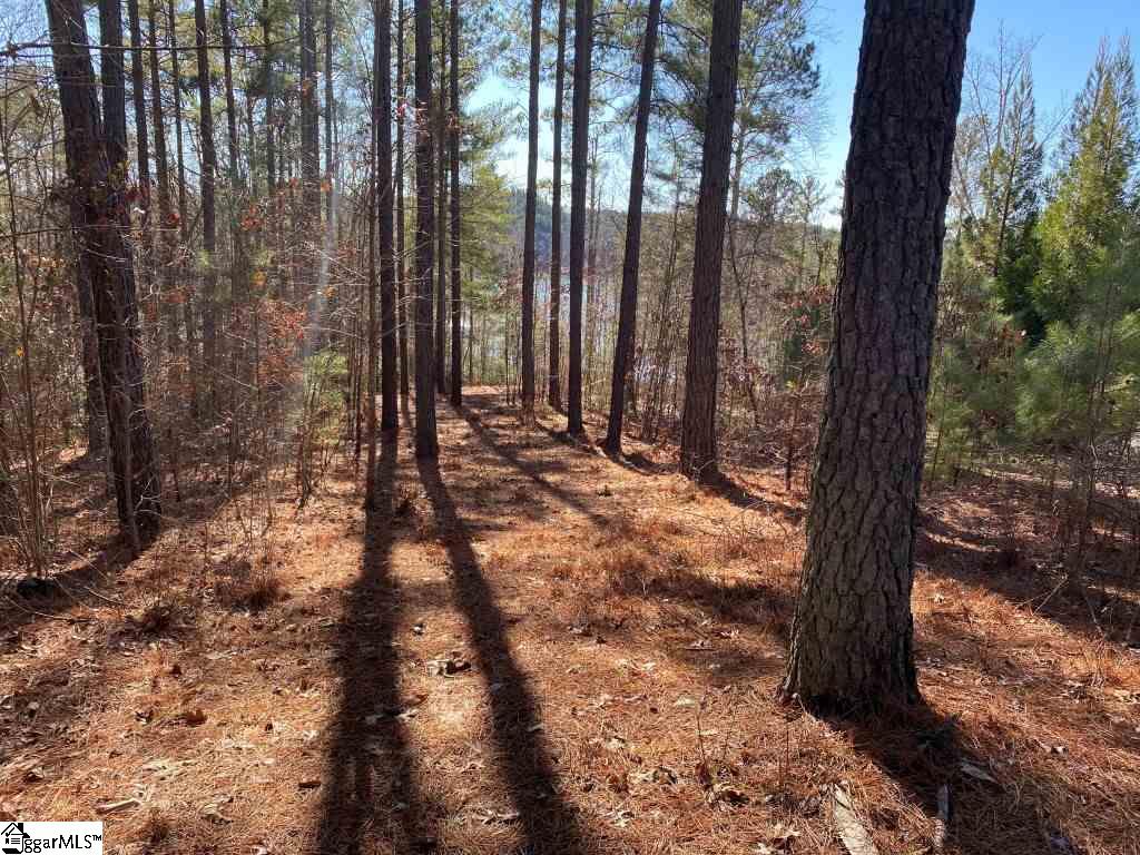 174 Ellenburg Creek Road, Unit LOT E 317 Sunset, SC 29685 - Photo 7 of 14 Gallery Image 7