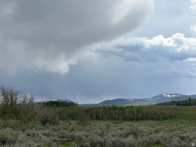 6476 Stauffer Road, Unit 4 Montpelier, ID 83254 - Photo 6 of 17 Expansive rural landscape featuring distant mountains with snow-capped peaks, a dense forest of deciduous trees, and broad fields of natural shrubbery
