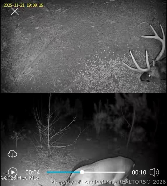 Tbd Scholl Road Hamlet, NC 28345 - Photo 12 of 12 TRACT 2
SCHOLL ROAD LAND - 15+ ACRES