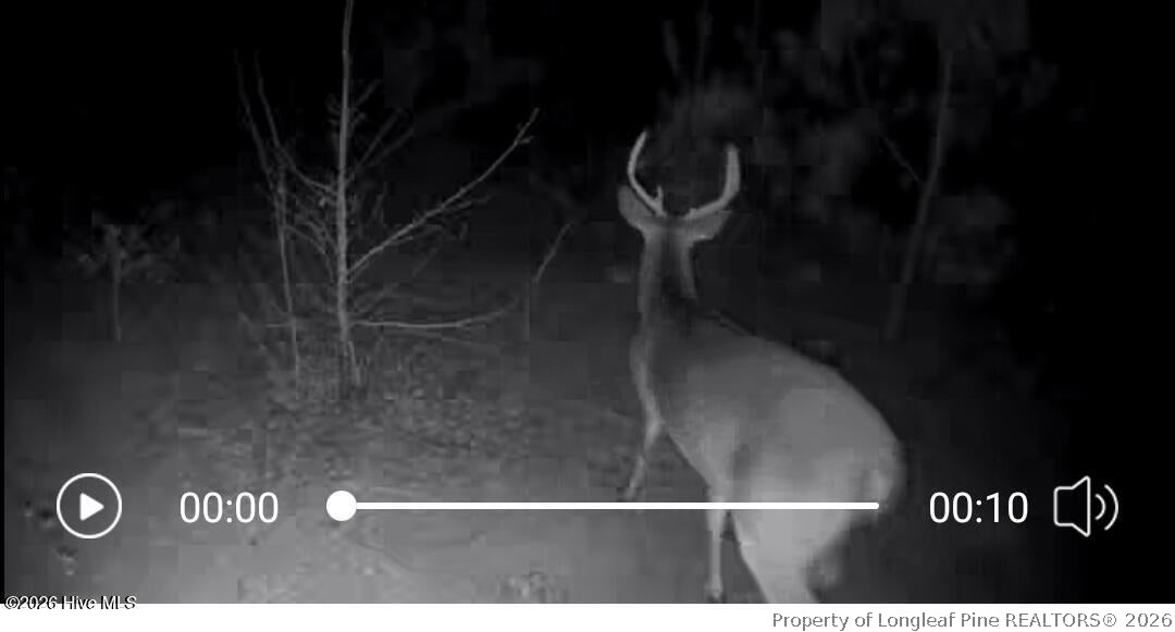 Tbd Scholl Road Hamlet, NC 28345 - Photo 9 of 12 TRACT 2
SCHOLL ROAD LAND - 15+ ACRES