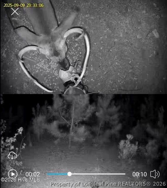 Tbd Scholl Road Hamlet, NC 28345 - Photo 10 of 12 TRACT 2
SCHOLL ROAD LAND - 15+ ACRES