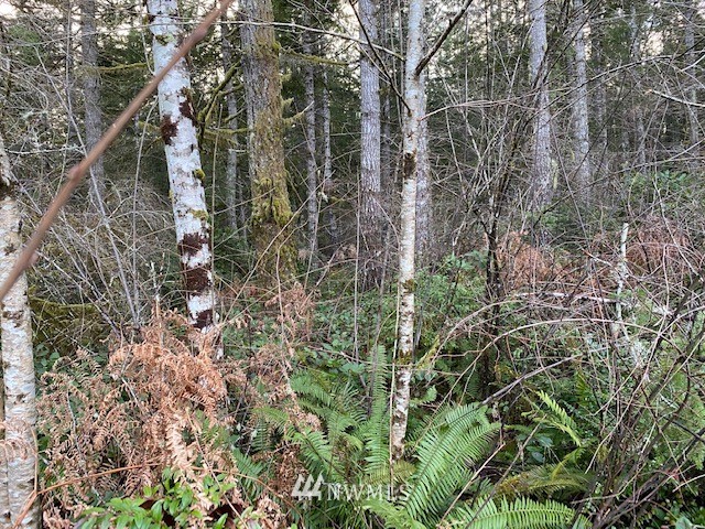 307 East Capital Prairie Road Shelton, WA 98584 - Photo 12 of 16 Gallery Image 12