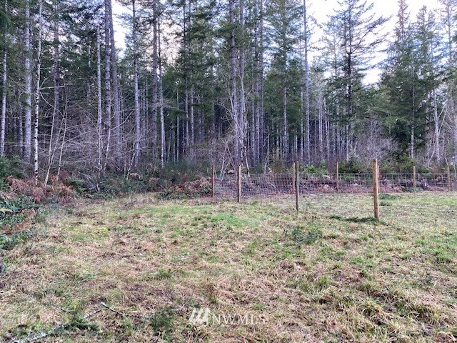 307 East Capital Prairie Road Shelton, WA 98584 - Photo 14 of 16 Gallery Image 14