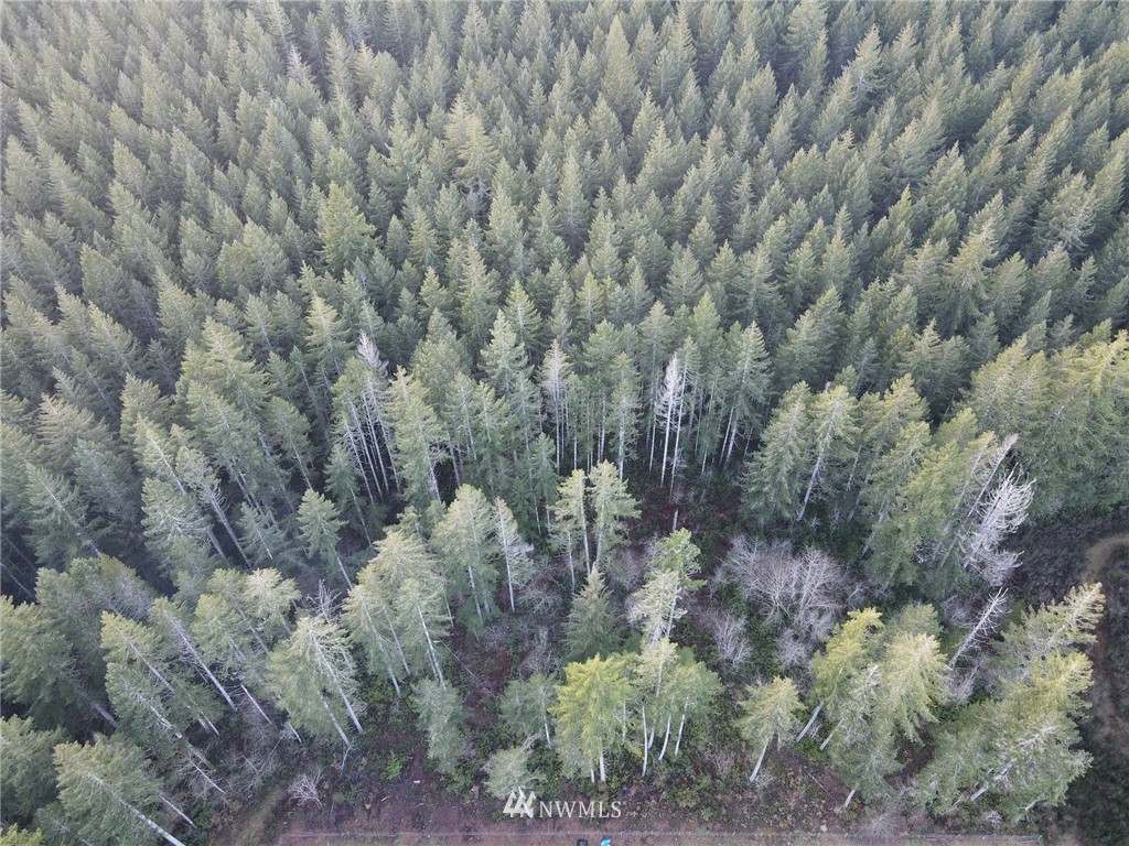 307 East Capital Prairie Road Shelton, WA 98584 - Photo 15 of 16 Gallery Image 15