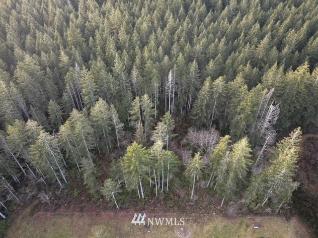 307 East Capital Prairie Road Shelton, WA 98584 - Photo 16 of 16 Gallery Image 16