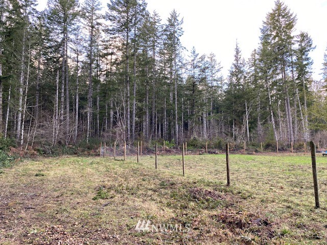 307 East Capital Prairie Road Shelton, WA 98584 - Photo 5 of 16 Gallery Image 5