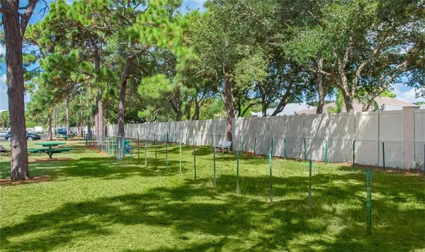 a view of a park with a large trees