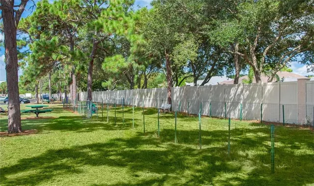 a view of a park with a large trees