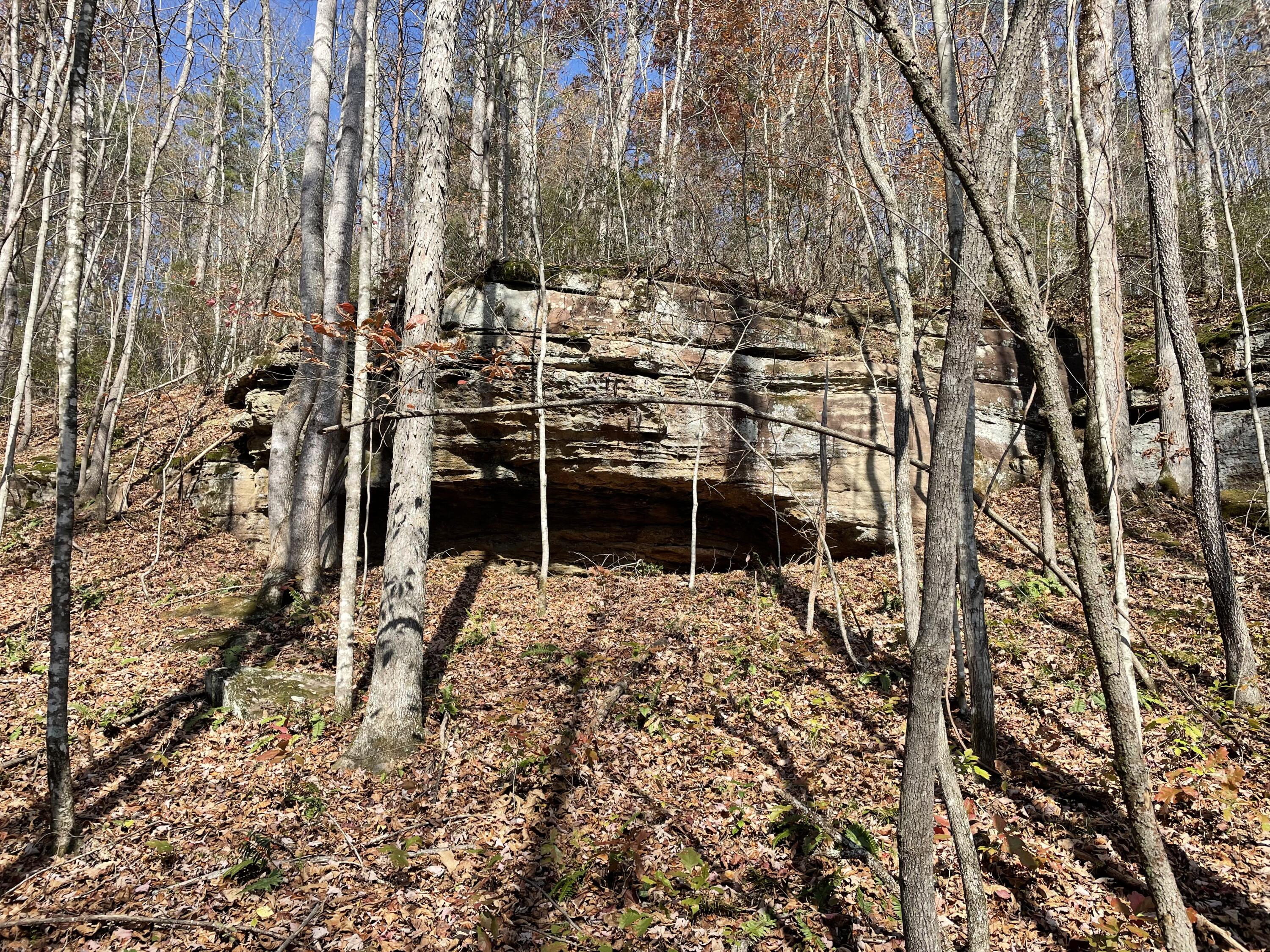 3015 Poplarville Road Somerset, KY 42501 - Photo 2 of 13 IMG_5410