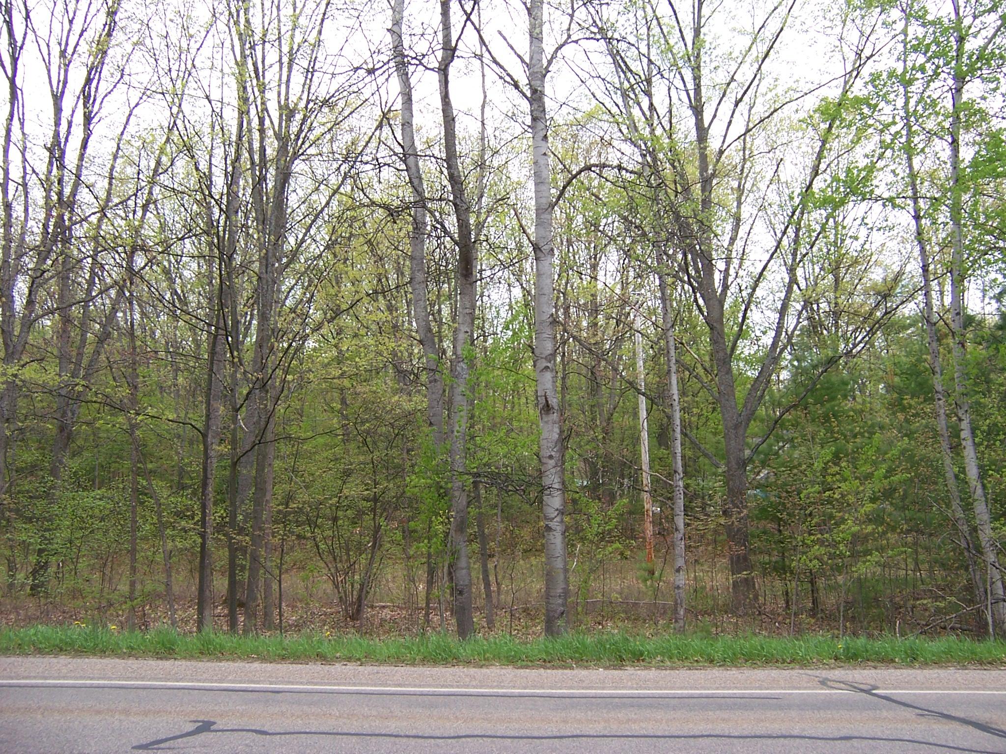 Lot 783 North Markey Road Roscommon, MI 48653 - Photo 3 of 5 Gallery Image 3