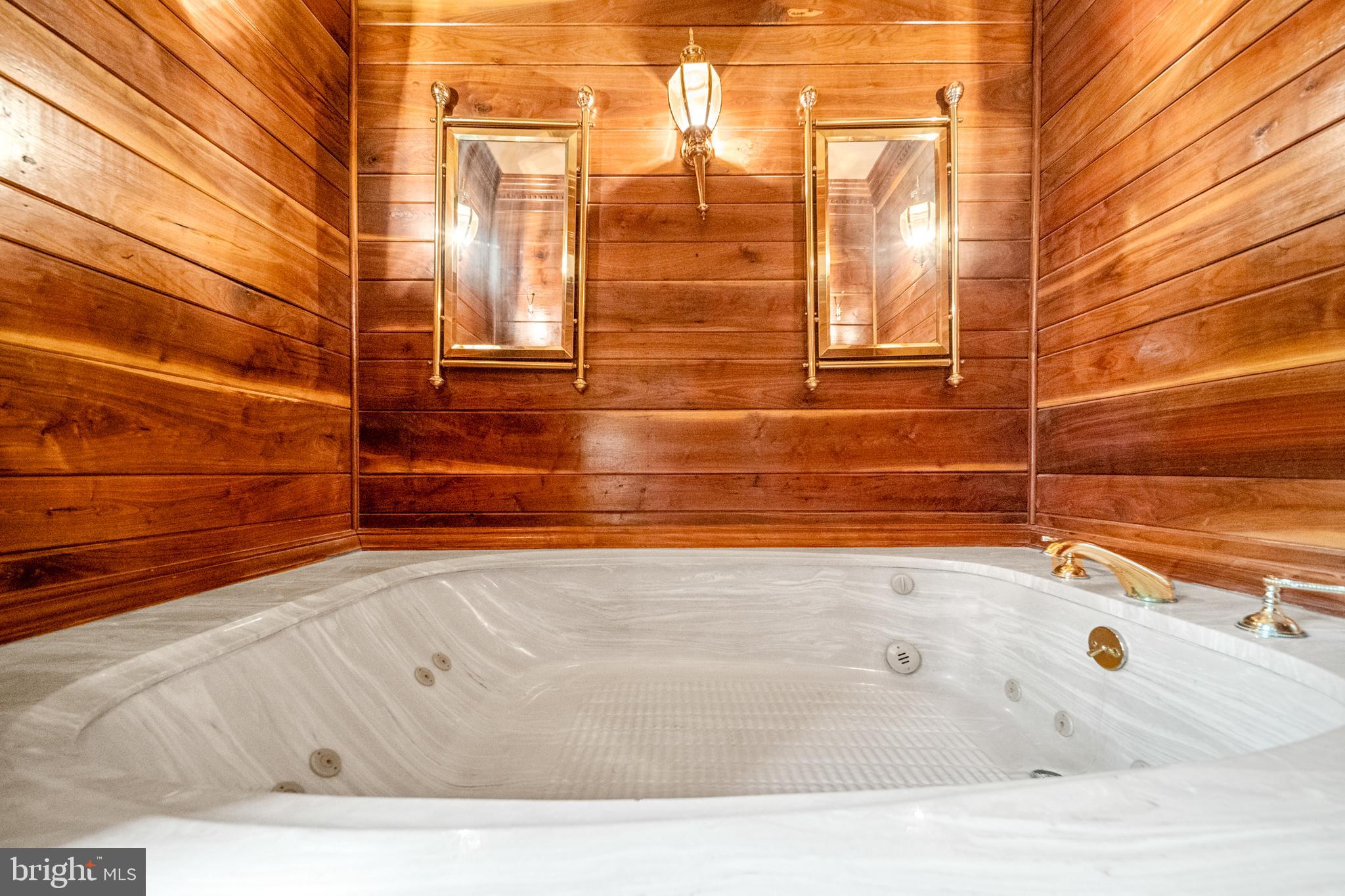 18189 Sands Road Purcellville, VA 20132 - Photo 33 of 145 Spacious two-person soaking tub.