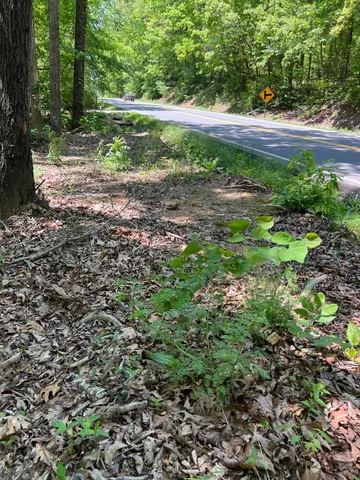 $39,500 | 0 Hwy 163 Calhoun Tn 37309, Calhoun, TN 37309