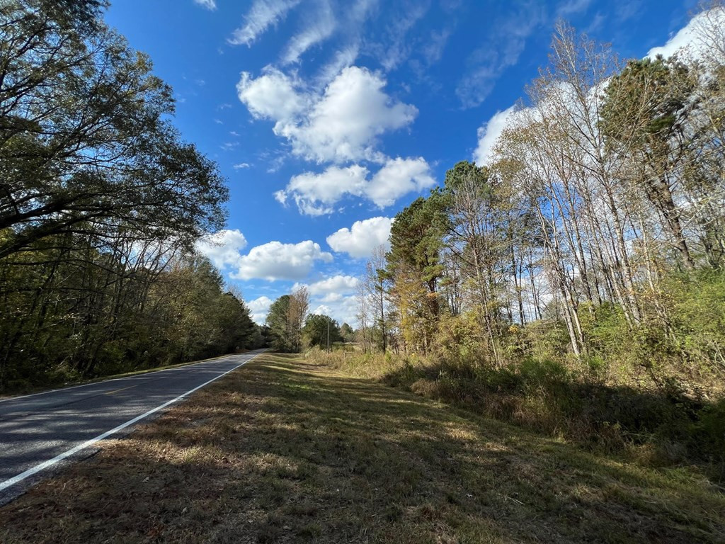 0 Storm Road Lena, MS 39094 - Photo 16 of 21 Photo 16