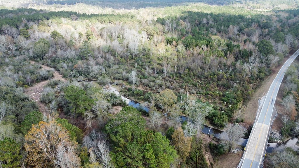 0 Storm Road Lena, MS 39094 - Photo 21 of 21 Photo 21