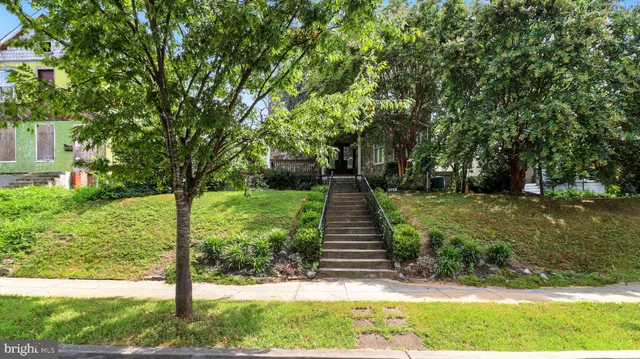 a view of a yard with plants