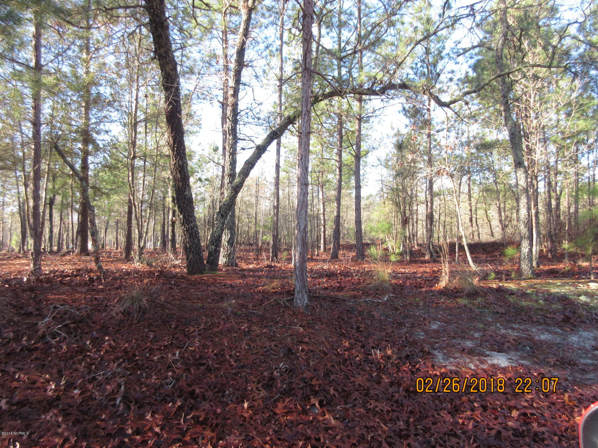 0 Morgan Road Kelly, NC 28448 - Photo 2 of 5 IMG_0987