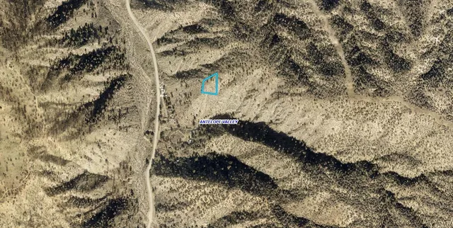 a view of a yard with plants and trees