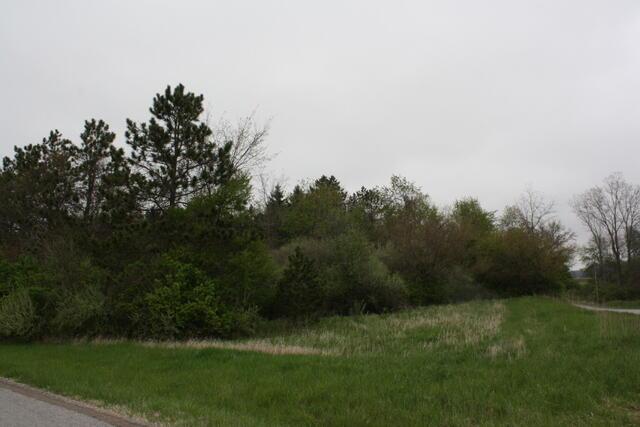 0 Peters Road Ashley, OH 43003 - Photo 5 of 7 5
