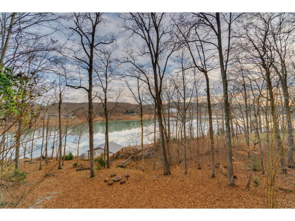 2830 Devault Bridge Road Piney Flats, TN 37686 - Photo 3 of 36 Photo 3