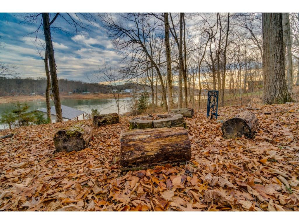 2830 Devault Bridge Road Piney Flats, TN 37686 - Photo 8 of 36 Photo 8