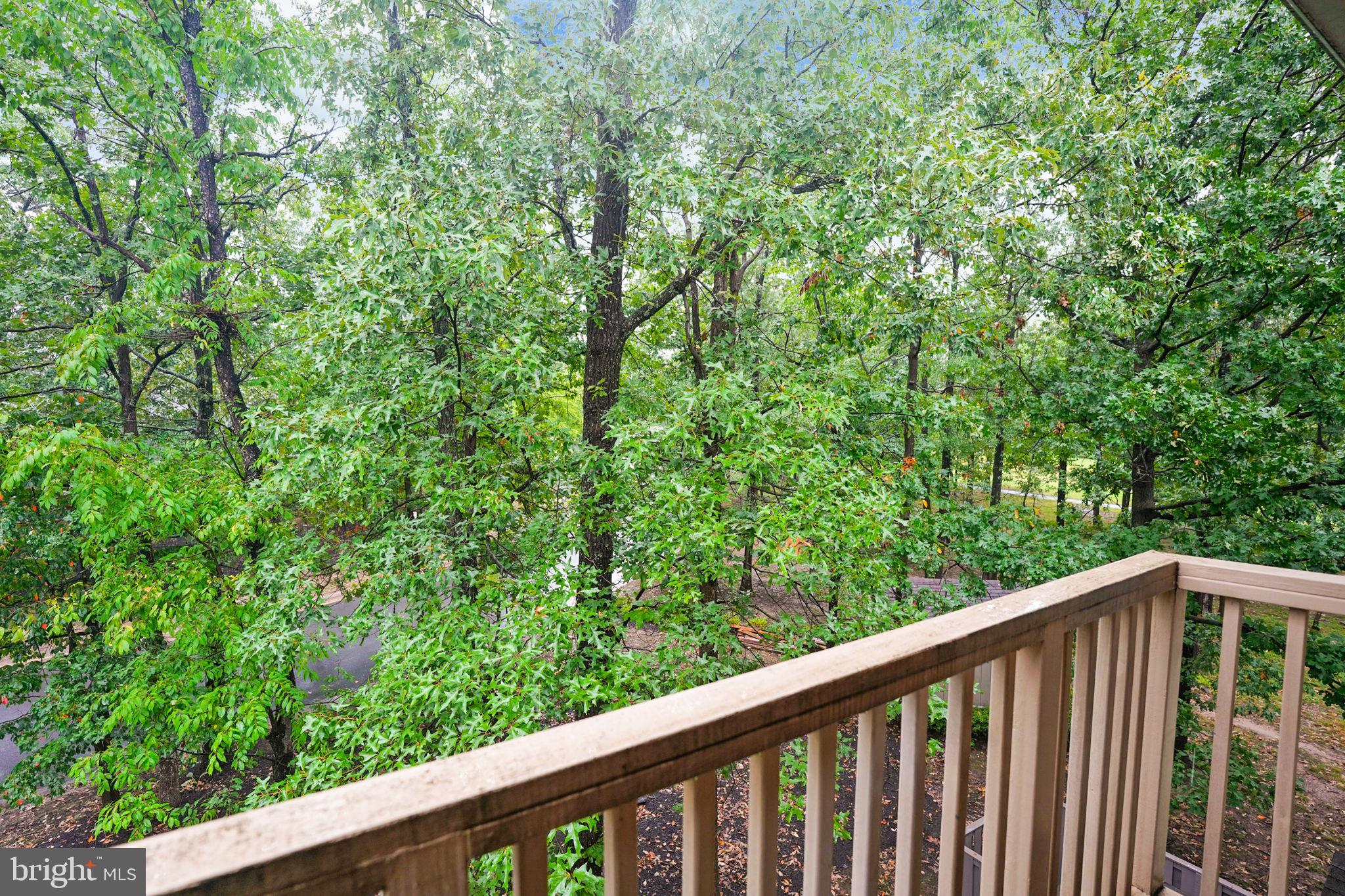8234 Winstead Place Manassas, VA 20109 - Photo 21 of 21